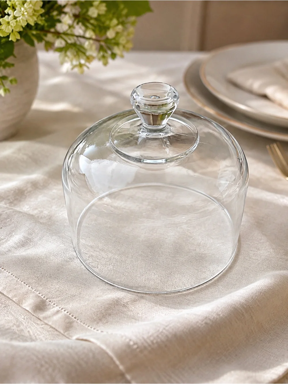 Vintage Glass Cloche Dome Cover